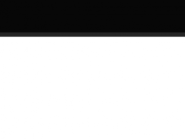 bellacontractingservices.com