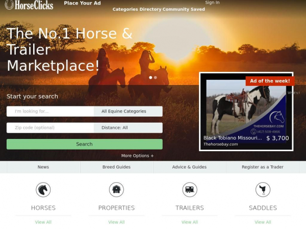 horseclicks.com