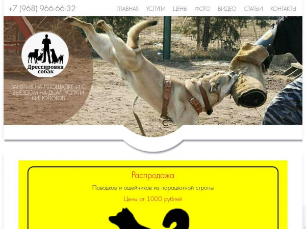 nsdog.ru