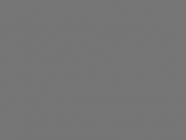 palantir.com