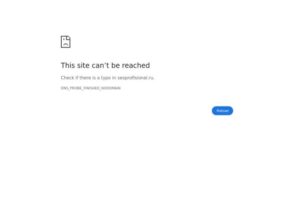 seoprofisional.ru