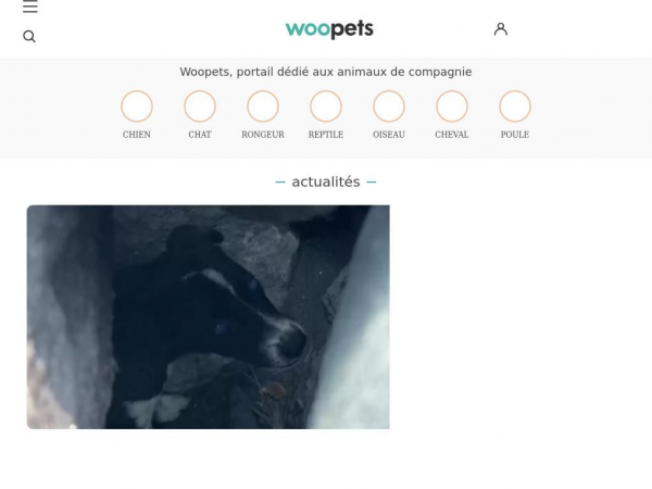 woopets.fr